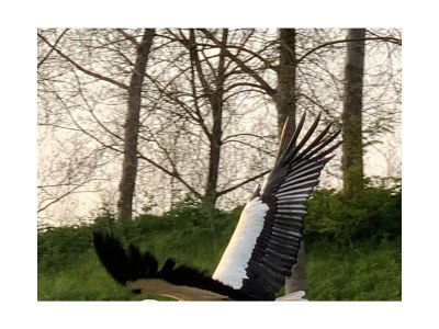 Holiday apartment De Schelde 302 - Environment photo 16