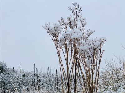 Holiday apartment De Schelde 302 - Environment photo 22