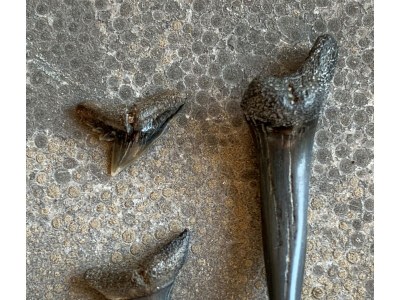 Holiday apartment Lichthuys 102 - Environment photo 13