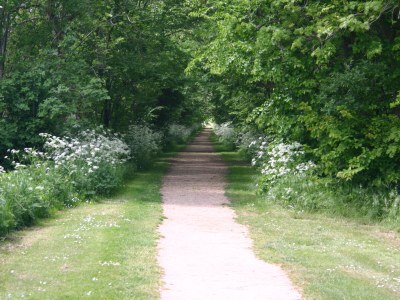 Holiday apartment Lichthuys 102 - Environment photo 14