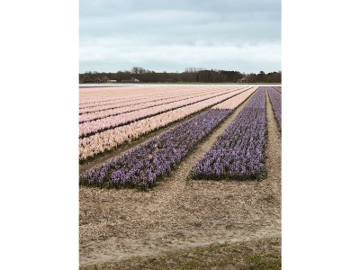 Holiday house #highfivebeachlife - Environment photo 22