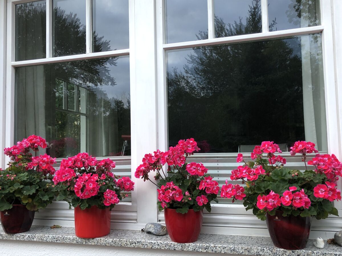 Holiday apartment Am Mühlberg - Outdoor photo 3