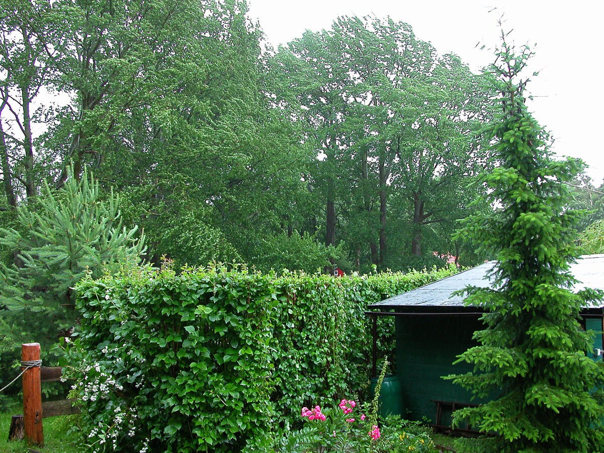 Holiday apartment Am Mühlberg - Outdoor photo 4