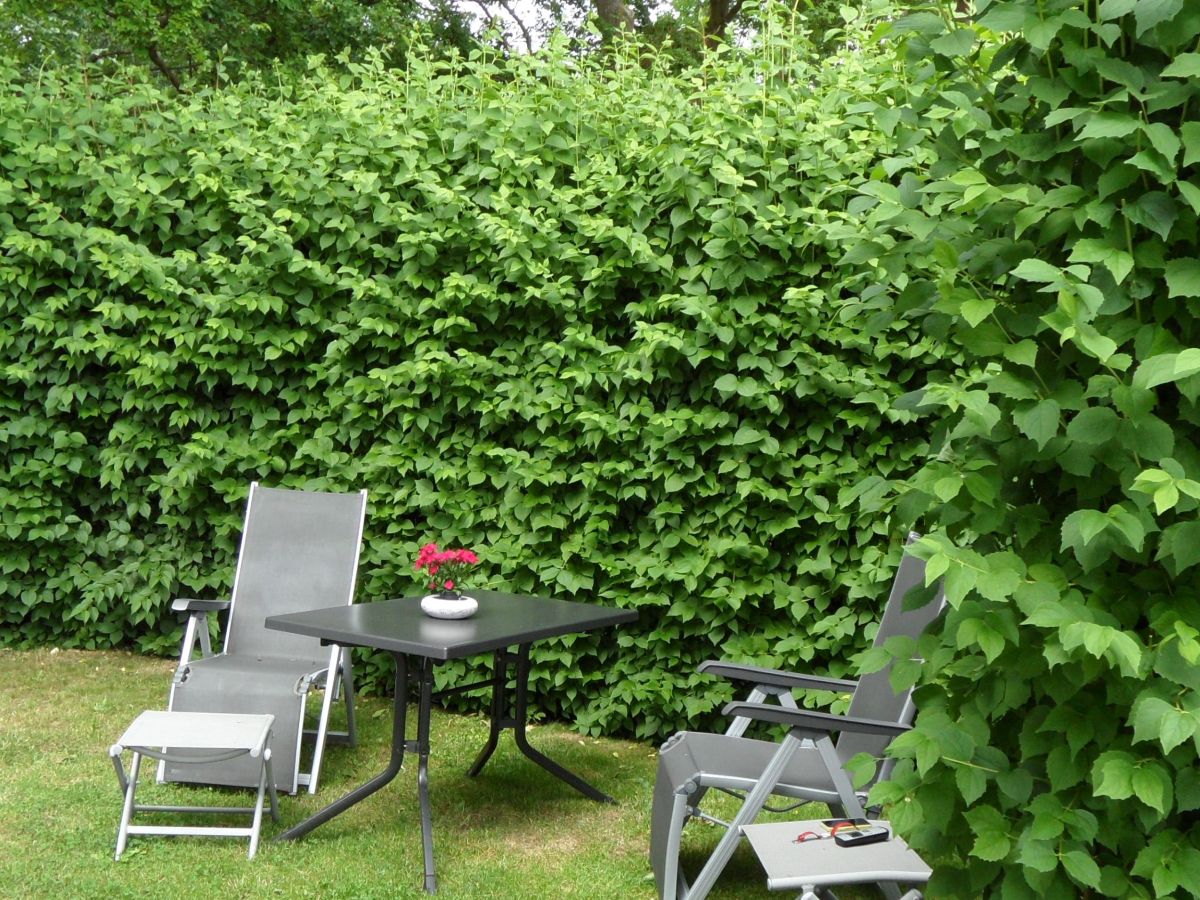 Holiday apartment Am Mühlberg - Outdoor photo 5