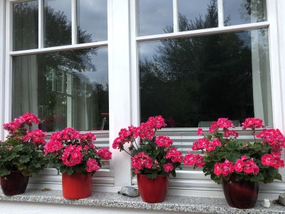 Holiday apartment Am Mühlberg - Outdoor photo 3