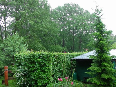 Holiday apartment Am Mühlberg - Outdoor photo 4