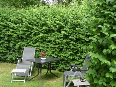 Holiday apartment Am Mühlberg - Outdoor photo 5