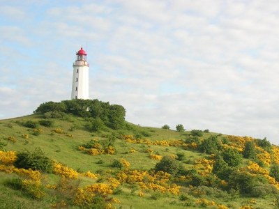 Holiday apartment Am Mühlberg - Environment photo 25