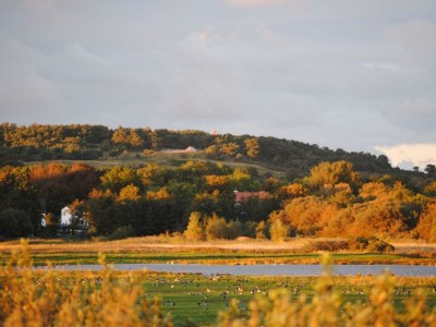 Holiday apartment Am Mühlberg - Environment photo 29