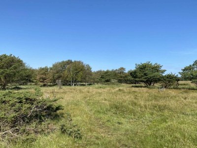 Holiday house Secluded Retreat with Hot Tub - By Traum Ferienwohnungen - Outdoor photo 15