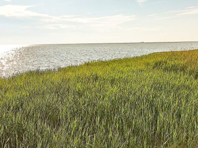 Holiday house Secluded Retreat with Hot Tub - By Traum Ferienwohnungen - Outdoor photo 22