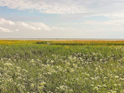 Holiday house Secluded Retreat with Hot Tub - By Traum Ferienwohnungen - Outdoor photo 23