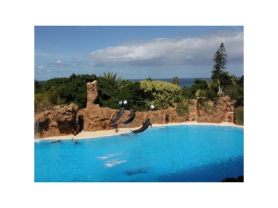 Holiday house La Marieta in Callao Salvaje with pool - Environment photo 22