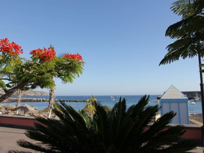 Holiday house La Marieta in Callao Salvaje with pool - Environment photo 25