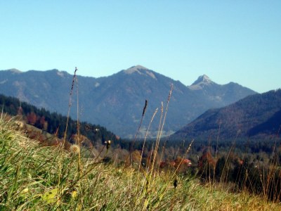 Holiday apartment Hinterdannerhof Staffelblick - Environment photo 21