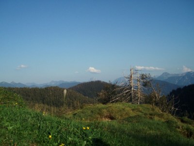 Holiday apartment Hinterdannerhof Staffelblick - Environment photo 24