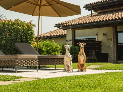 Apartment Le Palme - Outdoor photo 9