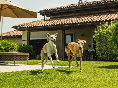 Apartment Le Palme - Outdoor photo 10