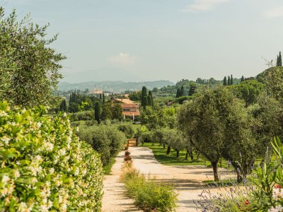Apartment Le Palme - Environment photo 38