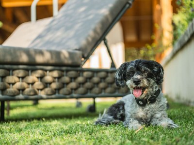 Apartment No title - Outdoor photo 11