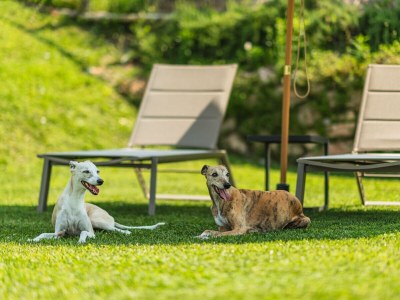 Apartment No title - Environment photo 37