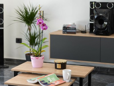 Villa Green Luxury & SPA - Features photo 10