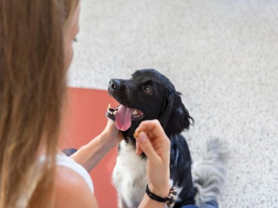 Holiday park Modern Retreat Near Beach - Outdoor photo 30