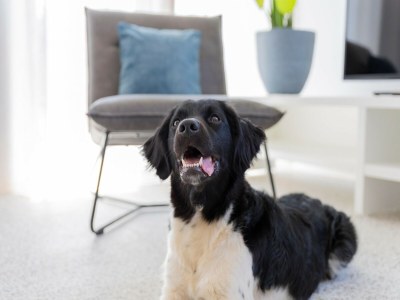 Holiday park Modern Retreat Near Beach - Outdoor photo 33