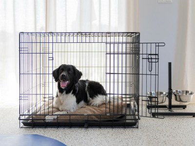 Holiday park Modern Retreat Near Beach - Outdoor photo 35