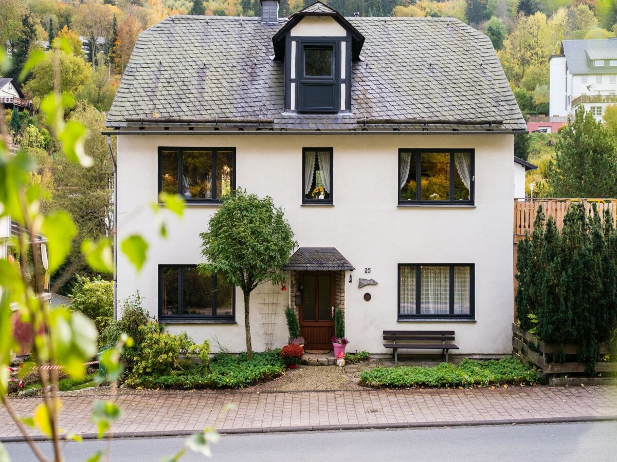 Apartment Ferienhaus in Willingen nahe Skipisten - Outdoor photo 3