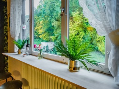 Holiday house Ferienhaus in Willingen nahe Skipisten - Outdoor photo 38