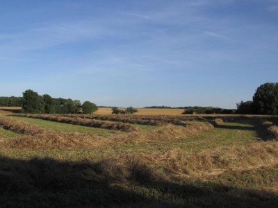 Holiday house Apartment in Faverolles in Strandnähe - Environment photo 24