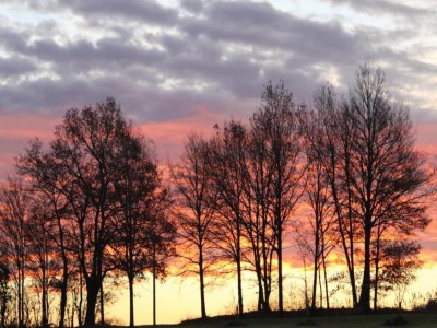 Holiday house Apartment in Faverolles in Strandnähe - Environment photo 29