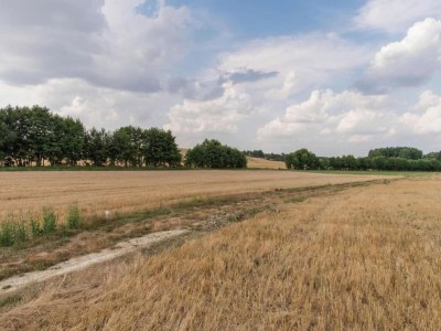 Holiday house Apartment in Faverolles in Strandnähe - Environment photo 34