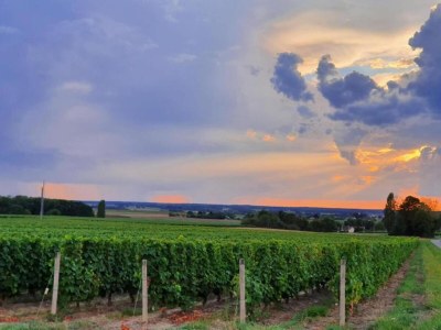 Holiday house Apartment in Faverolles in Strandnähe - Environment photo 36