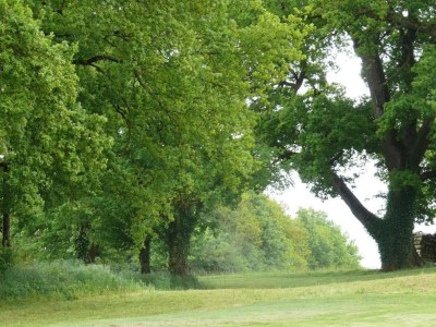 Holiday house Apartment in Faverolles in Strandnähe - Environment photo 37