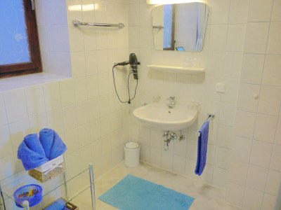 Apartment Apartment Grosseck - Features photo 13