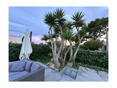 Holiday house Mallorca - Outdoor photo 14