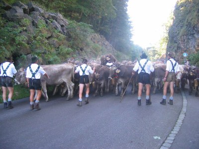 Holiday apartment Höfatsblick mit Sauna - Environment photo 11