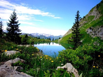 Holiday apartment Höfatsblick mit Sauna - Environment photo 16