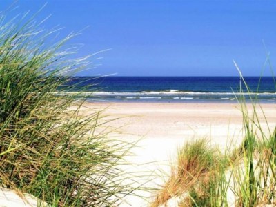 Holiday park Beautiful lodge with wellness - Environment photo 13