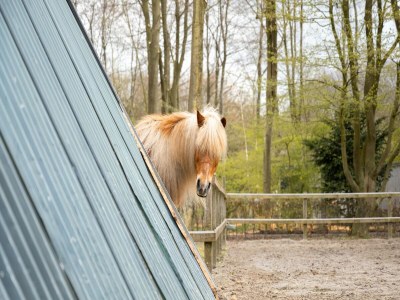 Holiday park Beautiful lodge with wellness - Outdoor photo 35
