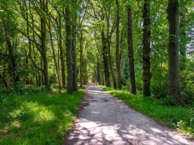 Holiday park Luxus-Lodge mit Whirlpool in den Niederlanden - Environment photo 16