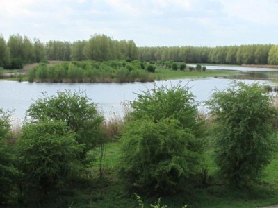 Holiday park Luxus-Lodge mit Terrasse in den Niederlanden - Environment photo 10