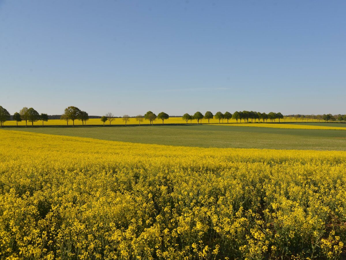 Apartment Ferienhaus (250 qm, bis 14 Personen) - Outdoor photo 5