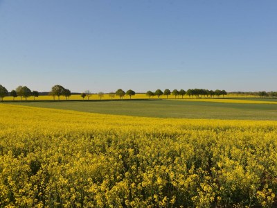 Apartment Ferienhaus (250 qm, bis 14 Personen) - Outdoor photo 5