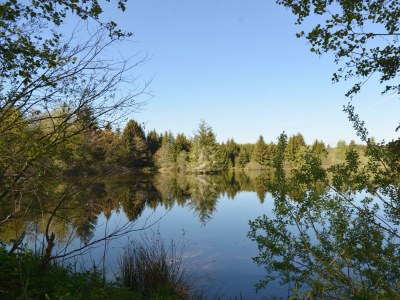 Apartment Ferienhaus (250 qm, bis 14 Personen) - Outdoor photo 6