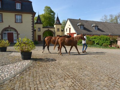 Apartment Ferienhaus (250 qm, bis 14 Personen) - Outdoor photo 8