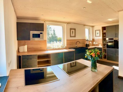 Apartment Ferienhaus Altes Zollhaus (bis 20 Pers.), 4 Bäder in Hallschlag - Apartment