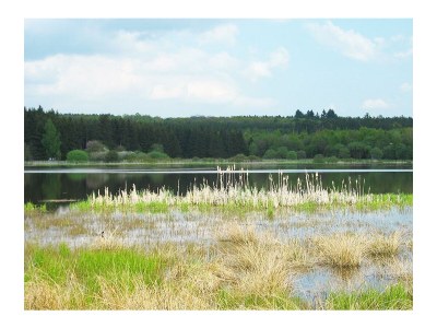 Apartment 2-Bett-Ferienwohnung - Outdoor photo 9
